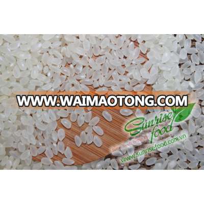 VIETNAM GOOD-PRICE JAPONICA RICE