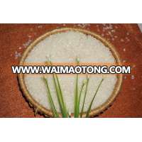 VIETNAM JAPONICA RICE 2017