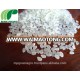 Premium Quality Favourable Price Vietnam Japonica Rice